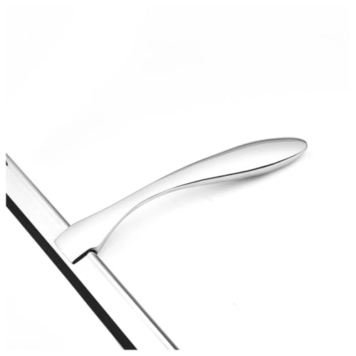Stainless Steel Shower Squeegee, Silicone Rubber Glass Wiper | With hook, 25.5 x 18 cm, silver or black, for windows, mirrors, shower walls, car glass(10sliver-1hook) - color: 10sliver-1hook