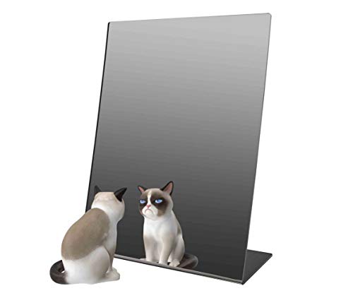 Marketing Holders Slant Back Acrylic Mirror 12" x 18" Angled Freestanding Reflective Portable Lucite Stand for Makeup Application on Vanities and Retail Jewelry Piercing Counters - size: 18"L x 12"W