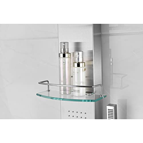 ANZZI Shower Head Panel Tower System | Coastal | Brushed Stainless Steel | Includes One 1 Field Full Body With Dual Level Deco Glass, Free-Reign Euro Grip Handheld Sprayer With 60 In. Hose - color: Brushed Steel, style: 2 Jets