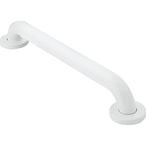 Moen R8716W Bathroom Safety 16-Inch Stainless Steel Bathroom Grab Bar with Concealed Screws, Glacier White - color: Glacier