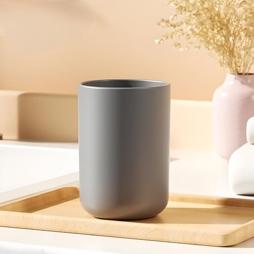 2 Pieces Plastic Bathroom Tumbler Cup Toothbrush Holder Organizer Tumbler Cups for Bathroom Vanity,300ml,Grey
