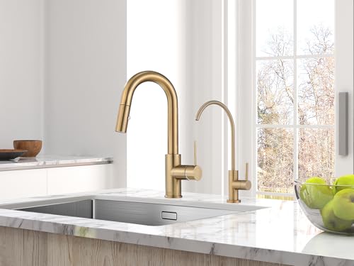 AS59CPBS Champagne Bronze Bar Faucet or Prep Kitchen Sink Faucet with Pull Down Sprayer and Single Handle - color: Champagne Bronze, style: Classic