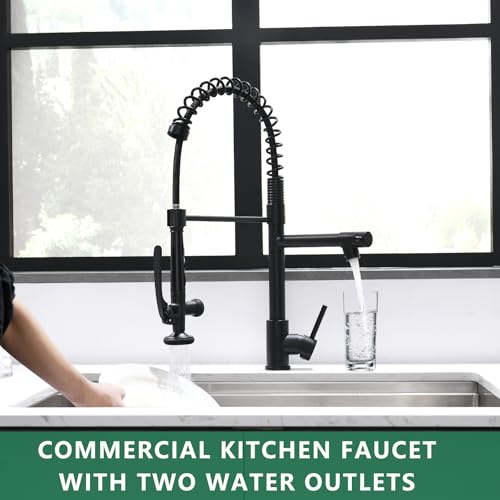 Fapully Black Kitchen Faucet,Commercial Pull Down Kitchen Sink Faucet | with Sprayer, 360 Swivel, 1.8GPM Water Flow - color: Matte Black, style: Classic