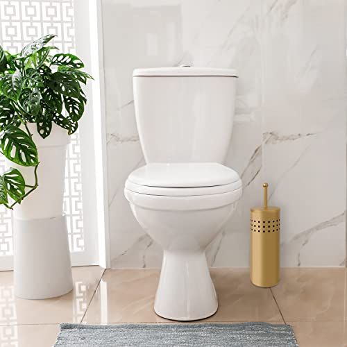 Blue Donuts Toilet Plunger with Holder for Bathroom, Multi Drain Suitable Also for Bathtubs, Quick Dry, Gold - color: Gold
