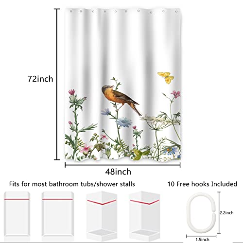 AWERT Small Half Size Stall Shower Curtain with Hooks Shower Stall Curtain 48 x 72 Funny Bird for Bathroom/RV and Camper - color: Bird, size: 48"W x 72"L (Pack of 1)