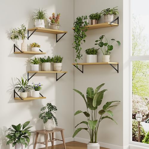 Deep Floating Shelves, 24'' x 10'' Oak Wall Shelves Set of 2 | 10 Inch Deep Shelves with Heavy Duty Brackets, Rustic Wood Shelves for Bathroom Living Room, Engineered Wood, 40LBS - color: Oak, size: 24W x 10D