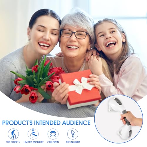 Suction Grab Bar with Safety Indicator for Bathtub Shower Bathroom, Heavy Duty Handrail Removable Reusable for Elderly Disabled and Kids, Anti-Slip Grip, No Drilling Tool Free, Waterproof Grey - size: 12'' 2 Pack