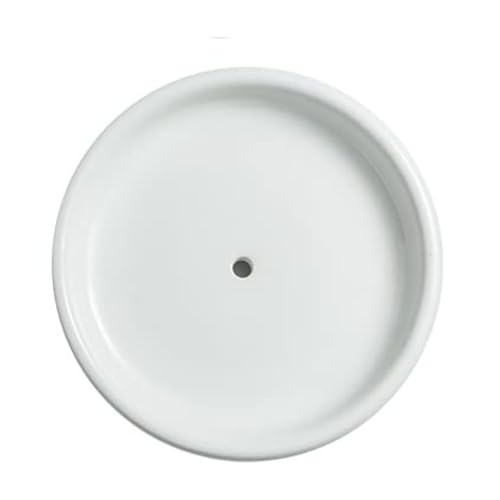 Round Self Draining Soap Dish, Small Ceramic Tray, Cute Jewelry Dish, Keep Soap Dry & Bathroom Décor (White) - color: White