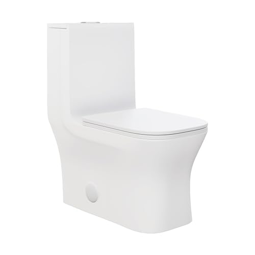 Concorde One Piece Square Toilet Dual Flush 1.1/1.6 gpf in Matte White - color: Matte White, size: 12" Rough-in
