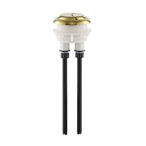Toilet Hardware Brushed Gold (SM-1T112) - color: Brushed Gold