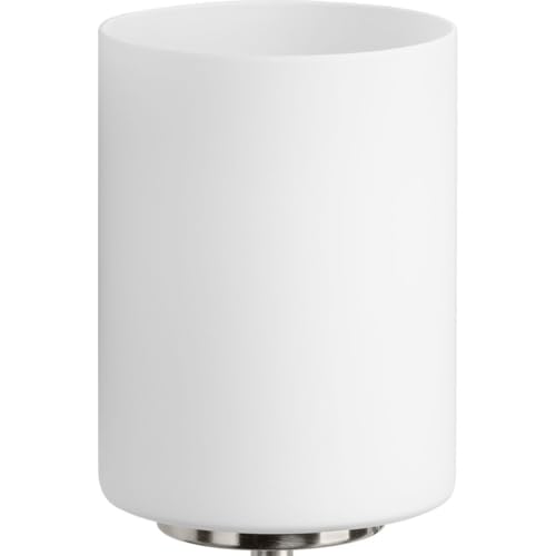 Progress Lighting 4-Light Etched White Glass Modern Bath Vanity Light, Replay Collection, Brushed Nickel (P2160-09) - color: Brushed Nickel, size: 4-Light