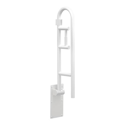 Moen R8962FDW Bathroom Safety 30-Inch Flip-Up Bathroom Grab Bar with Toilet Paper Holder, Glacier White - color: Glacier
