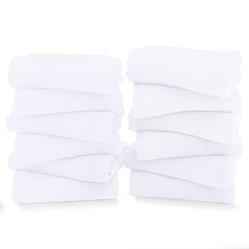 TENSTARS 12 Pack Premium Washcloths Set - Quick Drying- Soft Microfiber Coral Velvet Highly Absorbent Wash Clothes - Multipurpose Use as Bath, Spa, Facial, Fingertip Towel (White) - color: White, size: 12 Piece Washcloths