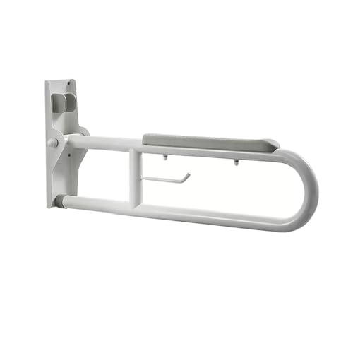 27.6 INCH Stainless Toilet Safety Rails, Disabled Flip-Up Bathroom Grab Bar with Paper Holder, Toilet Handrails Hand Grips Handle Shower Assist Aid, Handicap Grab Bars for Elderly(Gray:Gray) - color: Gray