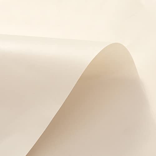 Barossa Design Beige Shower Curtain Liner Standard Size | Premium PEVA, BPA & PVC Free, No Chemical Smell, Metal Grommets, Lightweight Shower Curtain with 3 Magnets for Bathroom - color: Beige, size: 72"W x 72"L (Pack of 1)