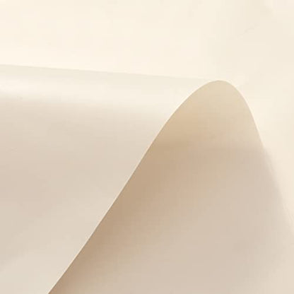 Barossa Design Beige Shower Curtain Liner Standard Size | Premium PEVA, BPA & PVC Free, No Chemical Smell, Metal Grommets, Lightweight Shower Curtain with 3 Magnets for Bathroom - color: Beige, size: 72"W x 72"L (Pack of 1)