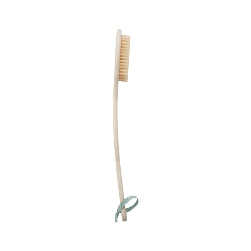 EcoTools Bristle Bath Brush, Shower Body Brush with Gentle, Stiff Bristles, Long Bamboo Handle, Gently Exfoliating for Back & Body, Stimulates Blood Circulation, Eco-Friendly, 1 Count (Pack of 2) - size: 1 Count (Pack of 2)
