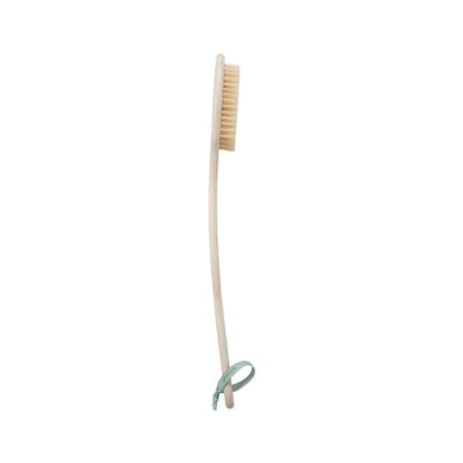 EcoTools Bristle Bath Brush, Shower Body Brush with Gentle, Stiff Bristles, Long Bamboo Handle, Gently Exfoliating for Back & Body, Stimulates Blood Circulation, Eco-Friendly, 1 Count (Pack of 2) - size: 1 Count (Pack of 2)
