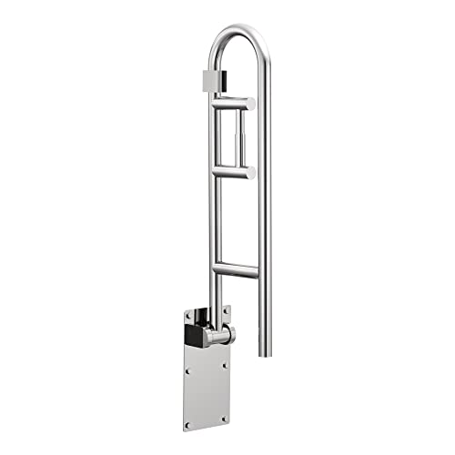 Moen Home Care Bathroom Safety 30 Inch Stainless Steel Flip Up Bathroom HandicapGrab Bar with Toilet Paper Holder, Elderly Assistance Product, R8962FD - color: Peened