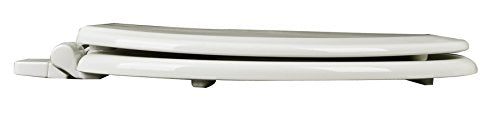 1F1E7-02 Premium Molded Wood Elongated Toilet Seat with Slow Close Hinge & OSG, Biscuit - color: Biscuit/Linen, style: ELONGATED