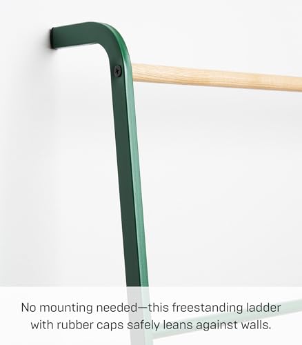 YAMAZAKI Home Strategist Leaning Ladder Hanger - Bathroom Storage Rack Holder Stand, 63" - Steel - color: Forest Green