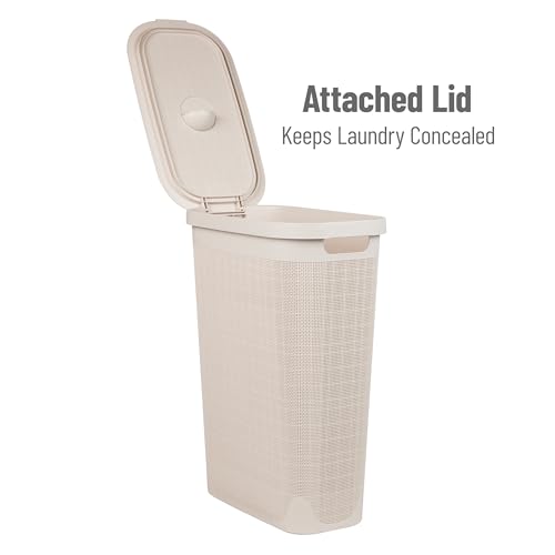 Mind Reader Slim Laundry Hamper with Lid, 40L Clothes Basket, Linen Design, Plastic, Ivory - color: Ivory