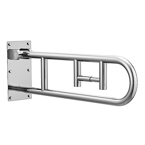 Moen Home Care Bathroom Safety 30 Inch Stainless Steel Flip Up Bathroom HandicapGrab Bar with Toilet Paper Holder, Elderly Assistance Product, R8962FD - color: Peened