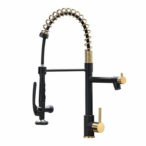 Fapully Black&Gold Kitchen Faucet with Sprayer,Commercial Pull Down | Kitchen Faucet for Kitchen Sink, 360 Swivel Sinlge Handle Single Hole - color: Black&Gold, style: Classic