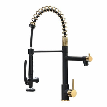 Fapully Black&Gold Kitchen Faucet with Sprayer,Commercial Pull Down | Kitchen Faucet for Kitchen Sink, 360 Swivel Sinlge Handle Single Hole - color: Black&Gold, style: Classic
