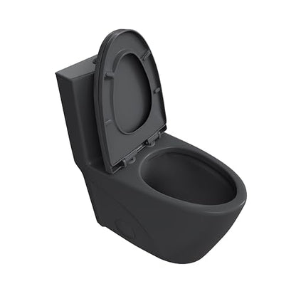 Elongated One Piece Toilet, Dual Flush 1.1/1.6 GPF, Matte Black | ADA Compliant 17" chair height bowl, Powerful siphon dual flush, 12" rough-in, comfort soft closing seat, Matte black toilet - color: Matte Black
