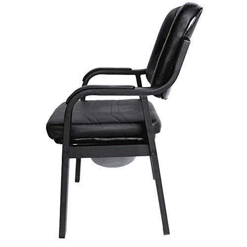 Dyale Deluxe Comfort Commode with Padded Seat Heavy Duty Bedside Commode Chair,Elderly Bathroom Safety Frame Toilet Seat