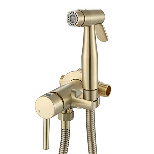 Handheld Bidet Sprayer Brushed Gold Warm Water, WiPPhs Stainless Steel Bidet Hand Held Sprayer for Toilet with Brass Hot and Cold Mixing Valve, WI9138BG | Wall Mount Stainless Steel Bidet Hand Held Sprayer with Brass Hot and Cold Mixing Valve, 47 Inches B