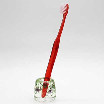 N&N Find Japan Japanese Toothbrush Holder Stand with Real Flower in Acrylic (Star Purple) - color: Star Purple