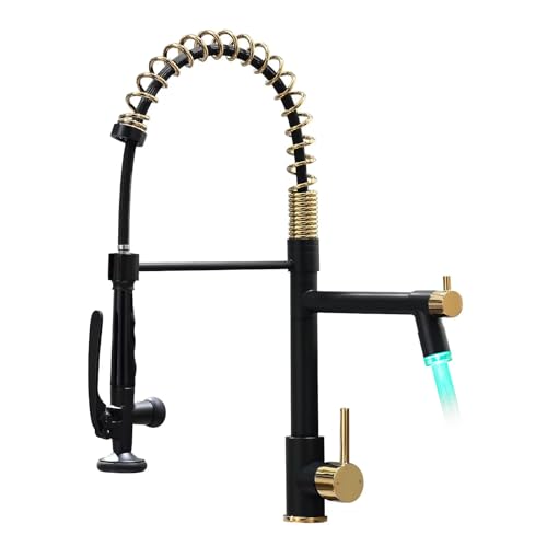 Fapully LED Kitchen Faucet with Pull Down Sprayer,Black&Gold | Commercial Kitchen Faucet for Kitchen Sink - color: Black&Gold, style: Modern