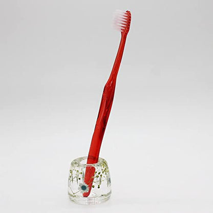 N&N Find Japan Japanese Toothbrush Holder Stand with Real Flower in Acrylic (Star Blue) - color: Star Blue