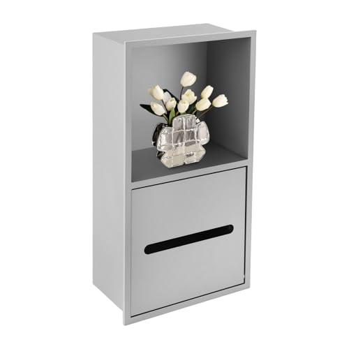 2 Tier Bathroom Wall Niche, Toilet Paper Holder with Shelf, Recessed Stainless Steel Organizer for Bathrooms, Living Rooms, Bedrooms, 8.54x4.92x16.54in (Silver) - color: Silver