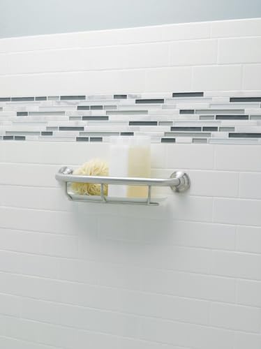 Moen Home Care Bathroom Safety 16 Inch Handicap Grab Bar for Bathtub and Shower with Storage Shelf, Elderly Assistance Product, Brushed Nickel, R2356DBN