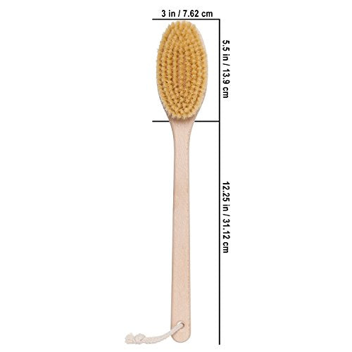REDECKER Beechwood Bath and Shower Brush - Boar Bristle Back Brush Shower - 17-3/4 inch Handle for Hard-to-Reach Areas - Natural Pig Bristle Fibers Remove Dead Skin - Long Handled Bristle Shower Brush - size: 17-3/4-Inches