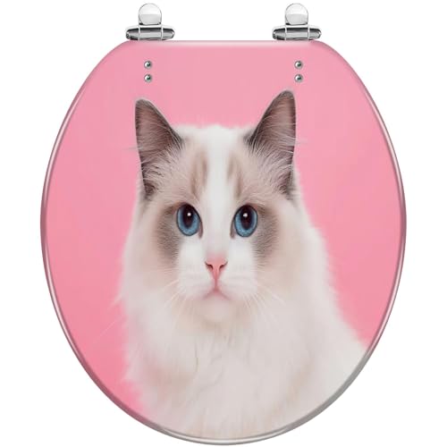Round Toilet Seat Portrait beautiful purebred ragdoll cat blue eyes looking camera her Resin Toilet Seat Slow Quiet Close with Quick-Release Hinges Toilet Seat with Cover Easy to Clean Install - color: Multi7, size: 16.5"x14.5"