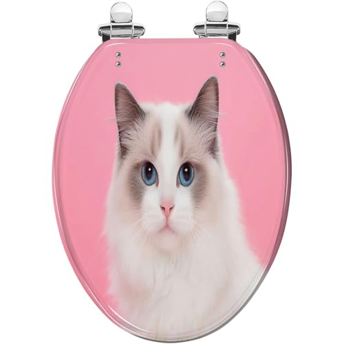 Elongated Toilet Seat Portrait beautiful purebred ragdoll cat blue eyes looking camera her Resin Toilet Seat Slow Quiet Close with Quick-Release Hinges Toilet Seat with Cover Easy to Clean Install - color: Multi7, size: 19.5"x14.5"