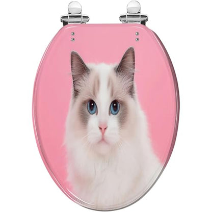 Elongated Toilet Seat Portrait beautiful purebred ragdoll cat blue eyes looking camera her Resin Toilet Seat Slow Quiet Close with Quick-Release Hinges Toilet Seat with Cover Easy to Clean Install - color: Multi7, size: 19.5"x14.5"