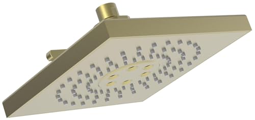 Newport Brass 2159/04 showerheads, Satin Brass (PVD) - color: Satin Brass (PVD)