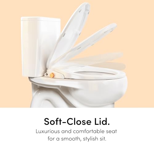 TUSHY Oasis Non-Electric Warm Water Bidet Seat, Elongated, Platinum Knob | Self-Cleaning Dual Nozzles, Adjustable Temperature and Pressure, Soft-Close Lid, 10 Minute DIY Install, Sink Access Required - color: White/Platinum, style: Dual Temp - Elongated S