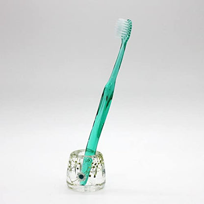 N&N Find Japan Japanese Toothbrush Holder Stand with Real Flower in Acrylic (Star Blue) - color: Star Blue