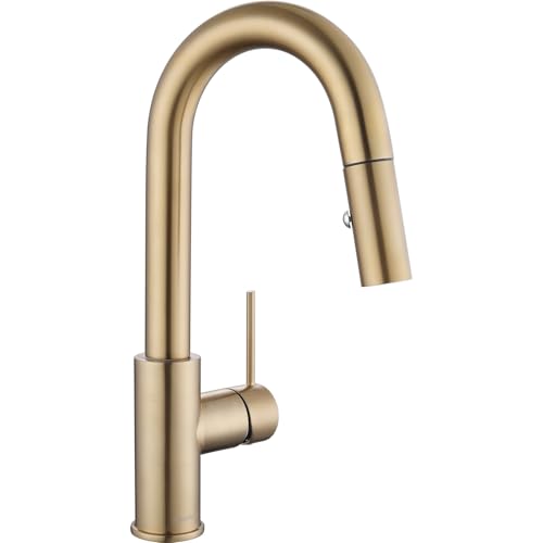 AS59CPBS Champagne Bronze Bar Faucet or Prep Kitchen Sink Faucet with Pull Down Sprayer and Single Handle - color: Champagne Bronze, style: Classic