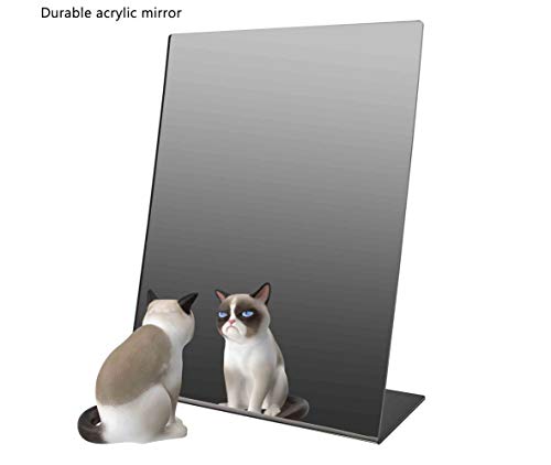 Marketing Holders Slant Back Acrylic Mirror 12" x 18" Angled Freestanding Reflective Portable Lucite Stand for Makeup Application on Vanities and Retail Jewelry Piercing Counters - size: 18"L x 12"W