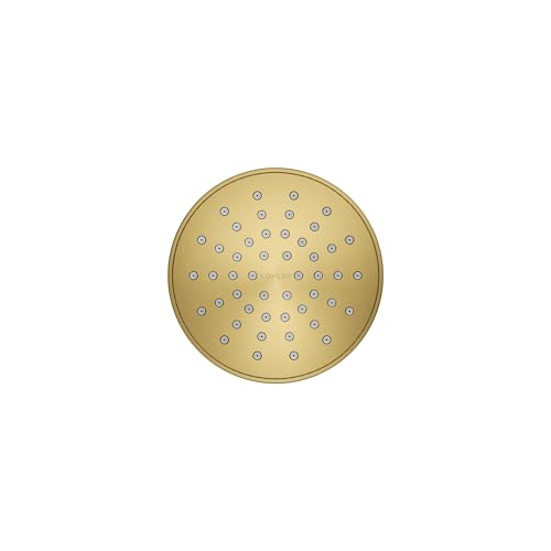 KOHLER K-33641-H-2MB Elate® Single-Function Showerhead, 1.5 GPM, Efficient Water Flow, Durable Construction Shower Head, Simple Setup, Vibrant Brushed Moderne Brass - color: Vibrant Brushed Moderne Brass, size: 1.5 GPM