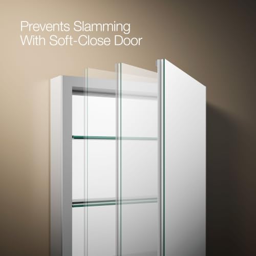 Kohler Verdera 20 in. W x 30 in. H Recessed Medicine Cabinet in Anodized Aluminum - size: 20" W x 30" H, style: Magnifying Mirror + Slow Close