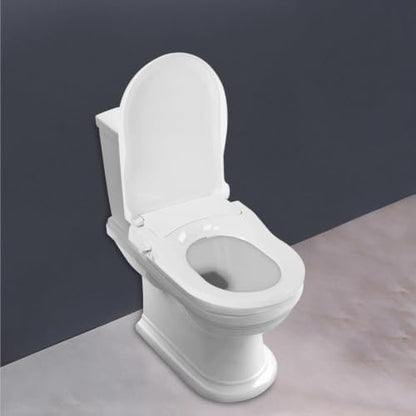 Portable Toilet, Non-Electric Bidet Toilet Seat Lid