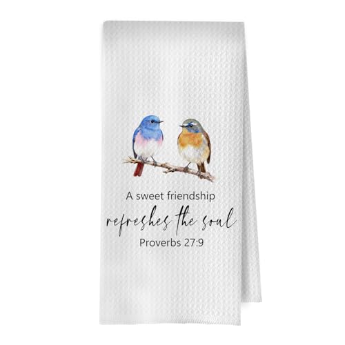 Friendship Christian Kitchen Towels - Bible Verse Gifts Decorative Waffle Dish Towels, Bird Gift Hand Towel, Christian Gifts Tea Towel, 16×24 Inches - color: Christian- 14